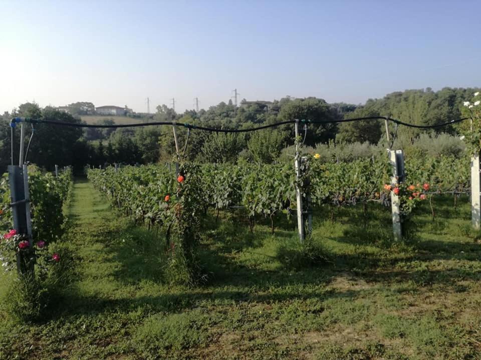 Il Casale Di Lucullo Villa Lucignano Exterior photo